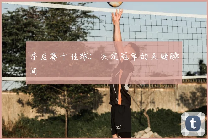 季后赛十佳球:决定冠军的关键瞬间