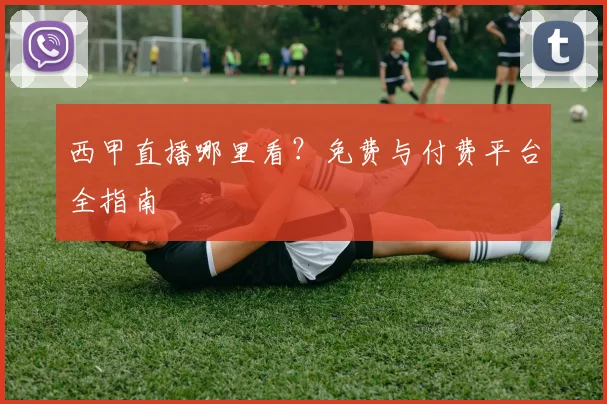 西甲直播哪里看?免费与付费平台全指南